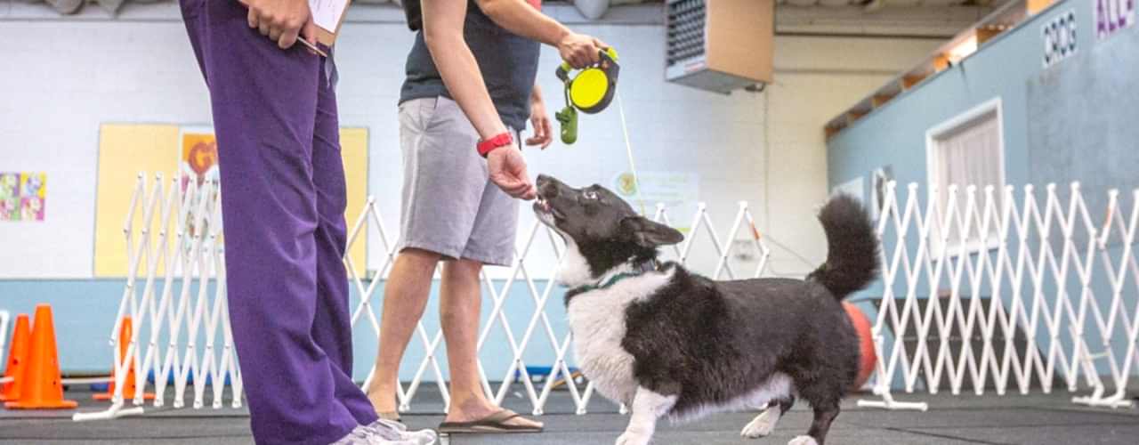 CRCG-181-of-371-1440x800