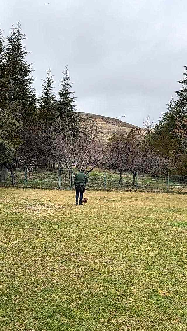 Instagram post from petvillas. This post is in position 2.