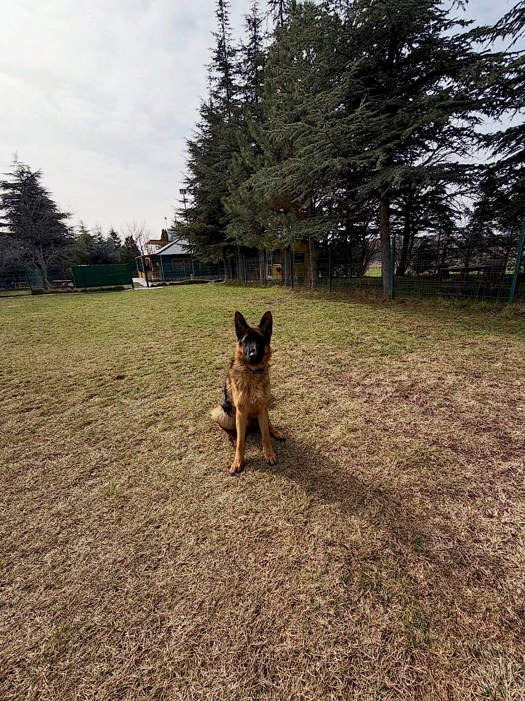 Instagram post from petvillas. This post is in position 3.