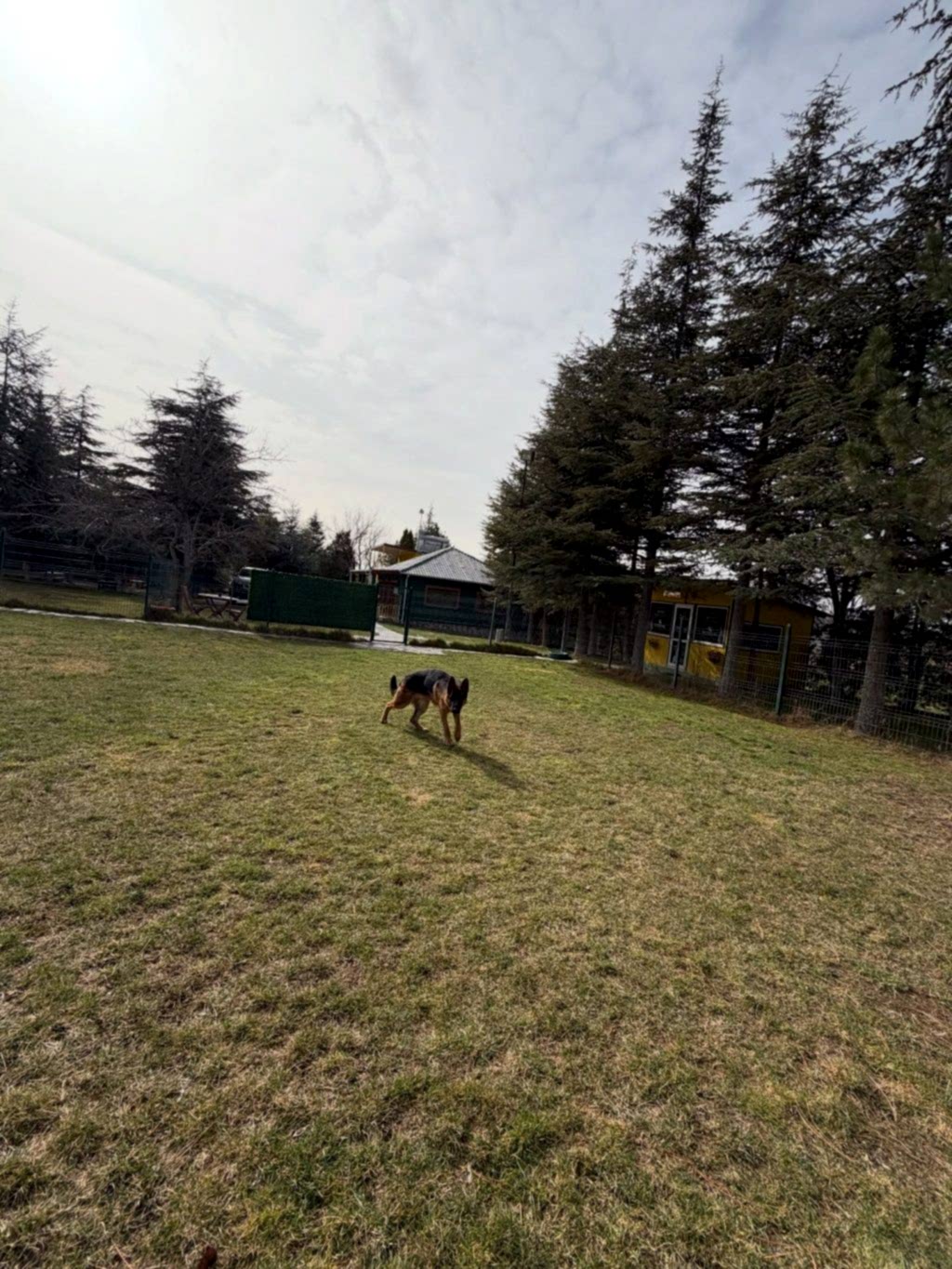 Instagram post from petvillas. This post is in position 2.